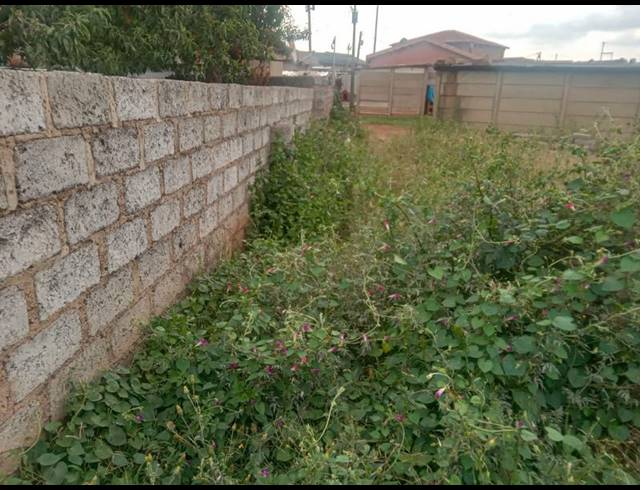LAND FOR SALE IN DUDUZA